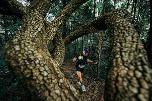 BIB: 
                            <button type="button" onclick="openModal(25394039)" class="btn btn-primary btn-sm float-right btn-popup" data-toggle="modal" data-target=".modal-high-quality">
                        <i class="fas fa-shopping-cart"></i> Add to Cart
                    </button>
                                            <button type="button" onclick="isThisMe(25394039, true)" class="btn btn-success btn-sm float-right btn-popup btn-isme hidden" data-toggle="tooltip" data-placement="bottom" title="นี่คือรูปของคุณใช่ไหม คลิกที่นี่เพื่อเอาเข้าอัลบั้ม">
                        <i class="fas fa-plus"></i> Add to album
                    </button>
                    <button type="button" onclick="isThisMe(25394039, false)" class="btn btn-warning btn-sm float-right btn-popup btn-isnotme hidden">
                        <i class="fas fa-ban"></i> Remove from album
                    </button>